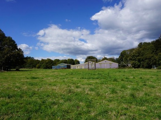 3 Hangars + Dépendances + 11,25 Hectares 56540 Saint-Caradec-Trégomel